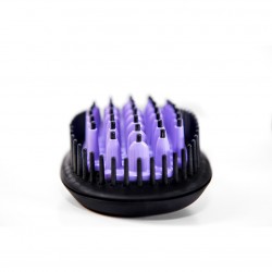 DAFNI - BROSSE LISSANTE DAFNI